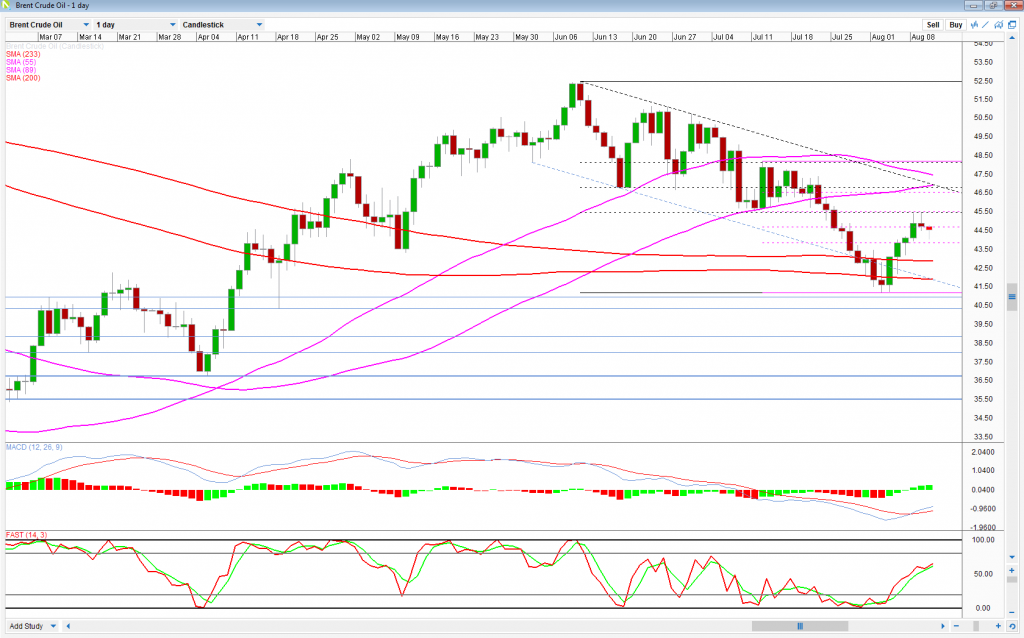 Brent Daily