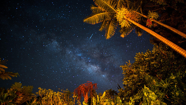 Meteor shower set to light up Irish skies with dazzling display 'three times stronger than normal'