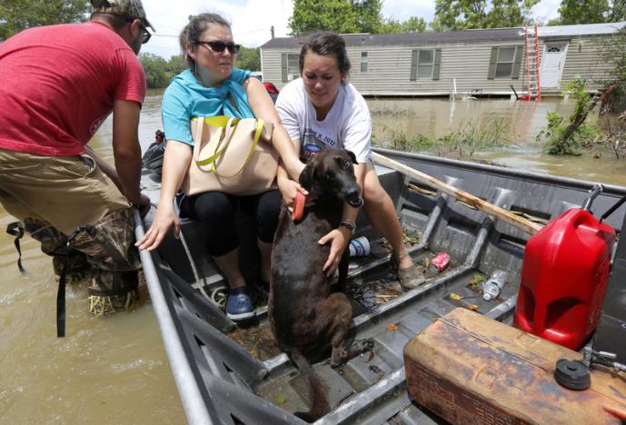 Louisiana Flooding