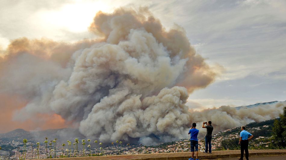 Over 4400 firefighters battle forest fires in Portugal