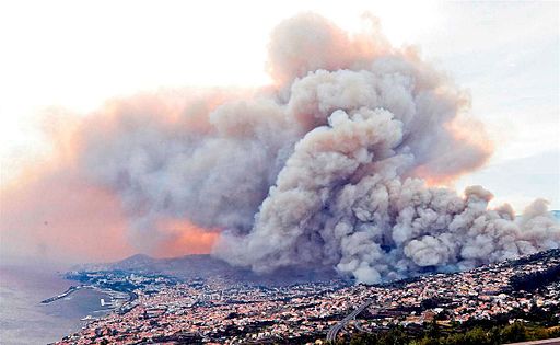 Northern Portugal declares forest fire emergency