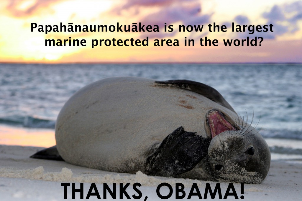 Obama To Quadruple Hawaii Monument, Creating World's Largest Protected Marine Area