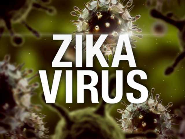 GSU alert Zika case reported in Bulloch