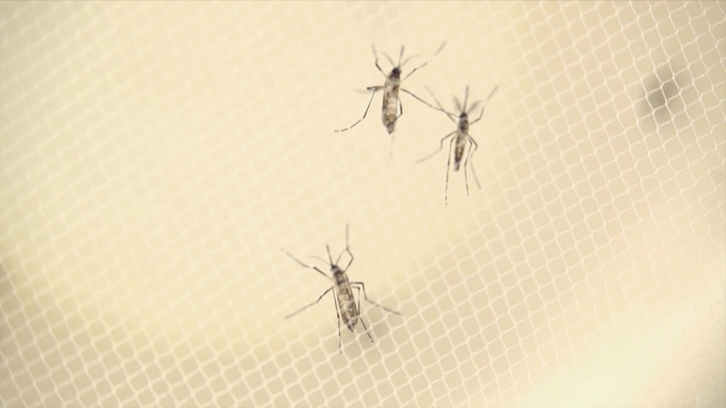 Yuma County confirms first case of Zika virus