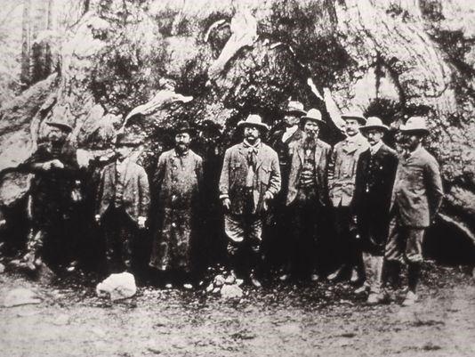 President Theodore Roosevelt John Muir and others in Yosemite by an unknown