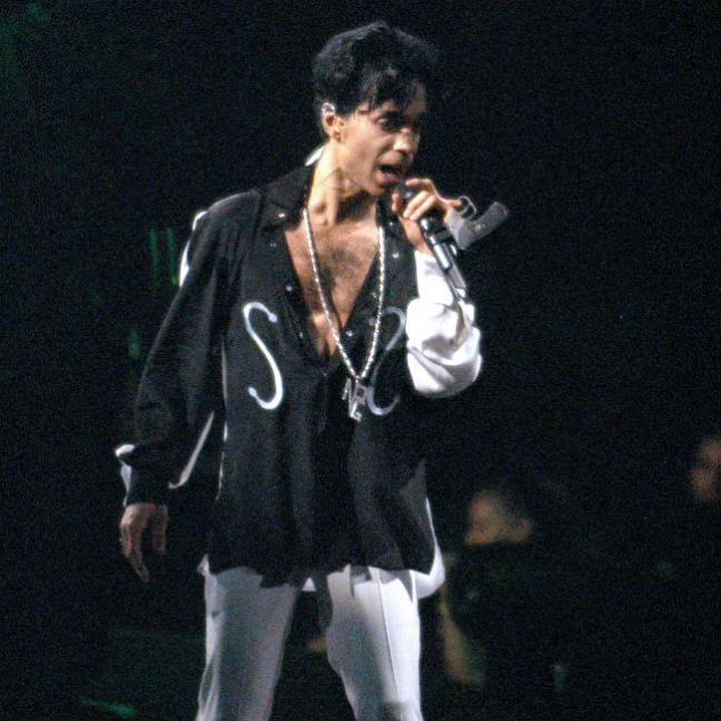 Minnesota Judge Orders Genetic Testing for Six Potential Prince Heirs