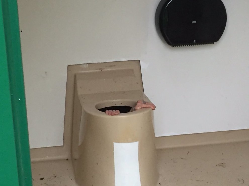 Man rescued after getting stuck inside public toilet