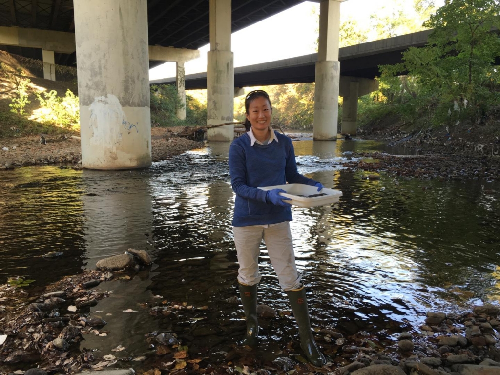 Sylvia Lee sampling in the Gwynns Falls at Carroll Park. In the Gwynns Falls some 65% of average flow can be attributed to untreated sewage from leaking infrastructure