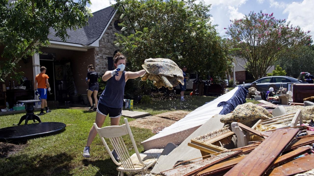 Residents across Louisiana are now faced with the grim task of cleaning up after record flooding