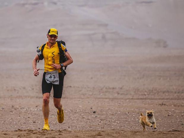 Australian ultramarathon runner reunited with stray dog after 125-kilometre China trek