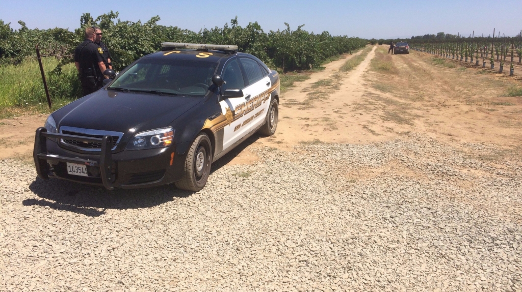 San Joaquin County Sheriff's Department on the scene of the skydiving accident in Acampo