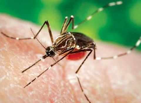 San Juan The US government today declared a public health emergency in Puerto Rico as a result of a Zika