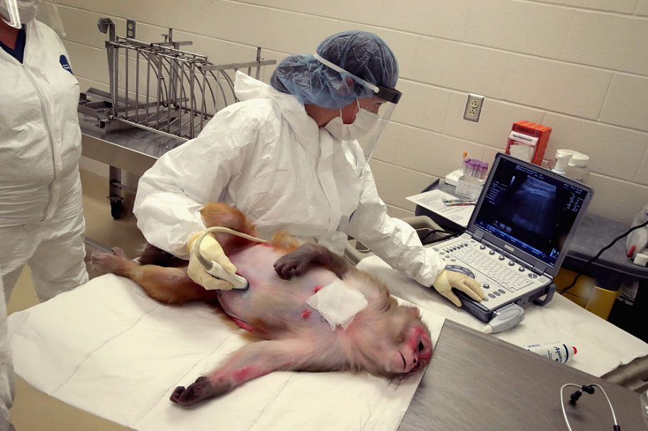 Sarah Kohn of the Wisconsin National Primate research Center at the University of Wisconsin Madison