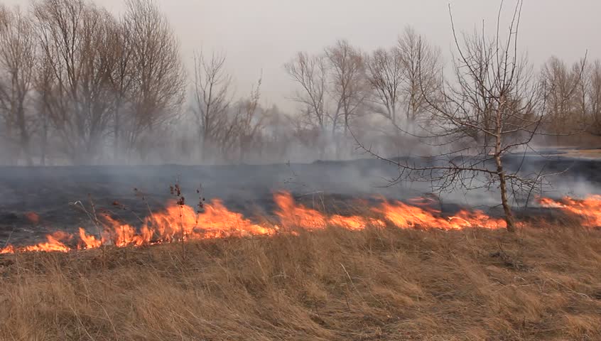 California wildfires likely to worsen as season peaks: forecaster