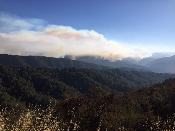 Soberanes Fire