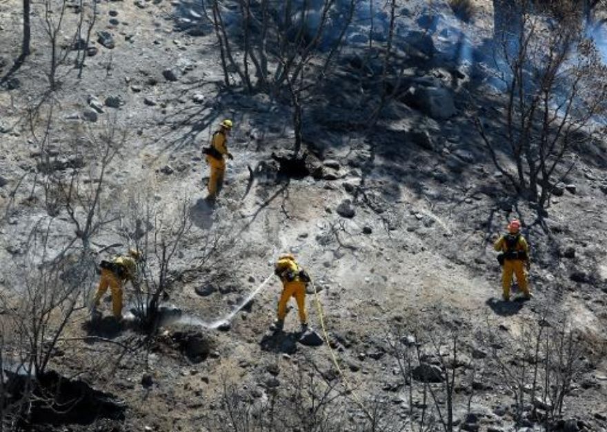 State of Emergency Declared, 82000 Evacuated After Southern California's Blue Cut Fire Explodes to 18000 Acres