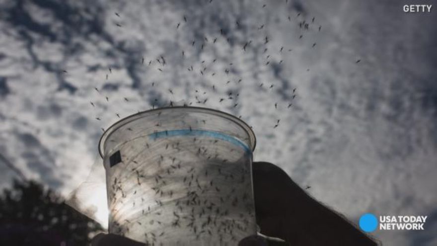 In Miami, Clinton to call on Congress to act on Zika virus