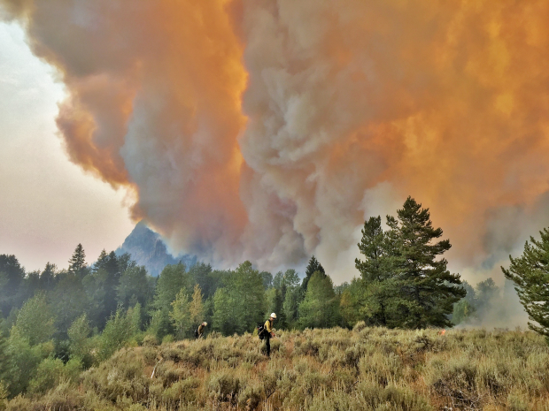 The Berry Fire in Wyoming has caused Yellowstone National Park to close their southern entrance