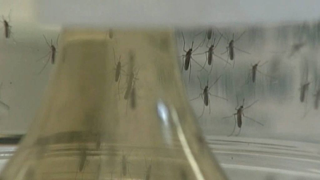 The FDA wants all U.S. blood centers to start screening for Zika