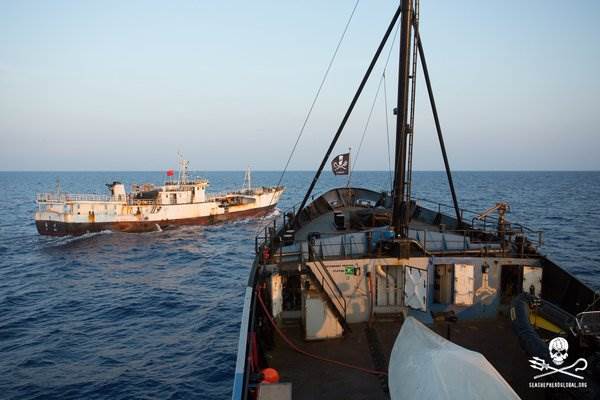 Image The Sea Shepherd Conservation Society has had many clashes at sea with Japanese scientists