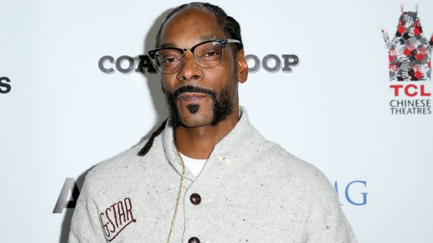 The Snoop Dogg concert was cancelled after a railing collapse left dozens injured