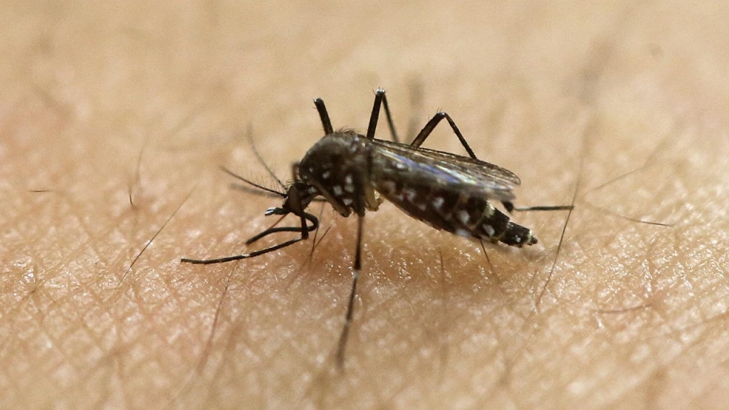 The Zika virus has spread rapidly and its arrival in the US had been widely anticipated