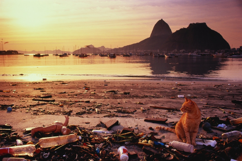 Rio 2016 Rio's air is more deadly than its water study finds