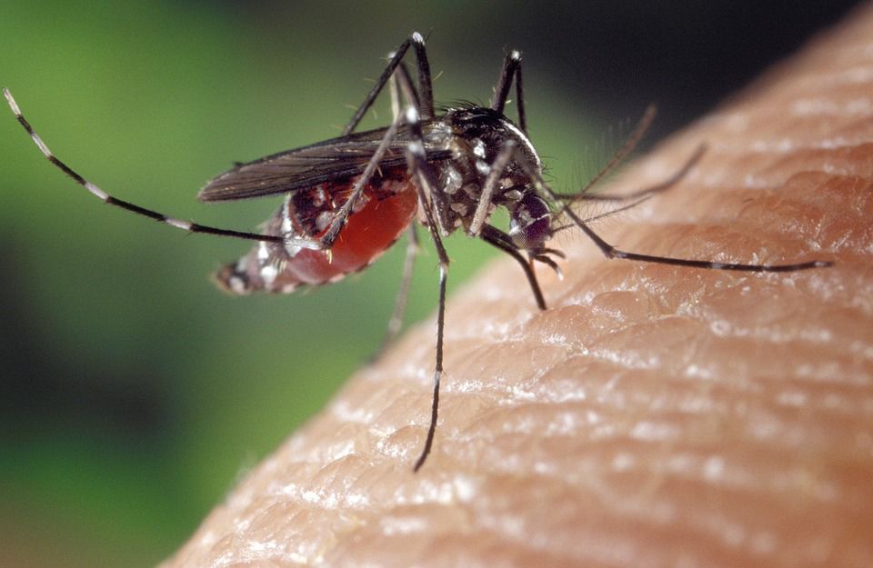 Zika-related fatality a first for Texas