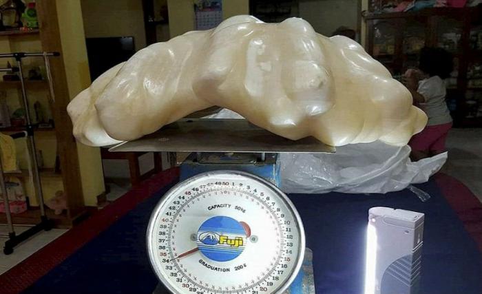 The giant pearl weighs 34 kg and can be worth up to $100 million