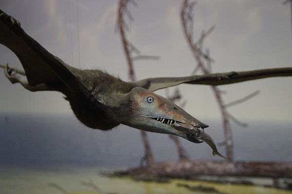 The new Pterosaur species has tiny arms that were probably used for grabbing prey