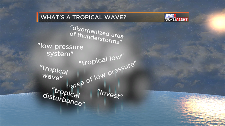 These are the terms meteorologists common use to describe tropical activity