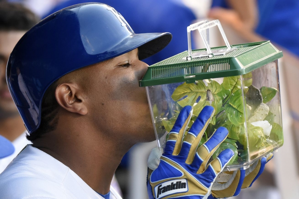 This is the home of Kansas City's'Rally Mantis. The box not Perez's head.- Ed Zurga  Getty Images