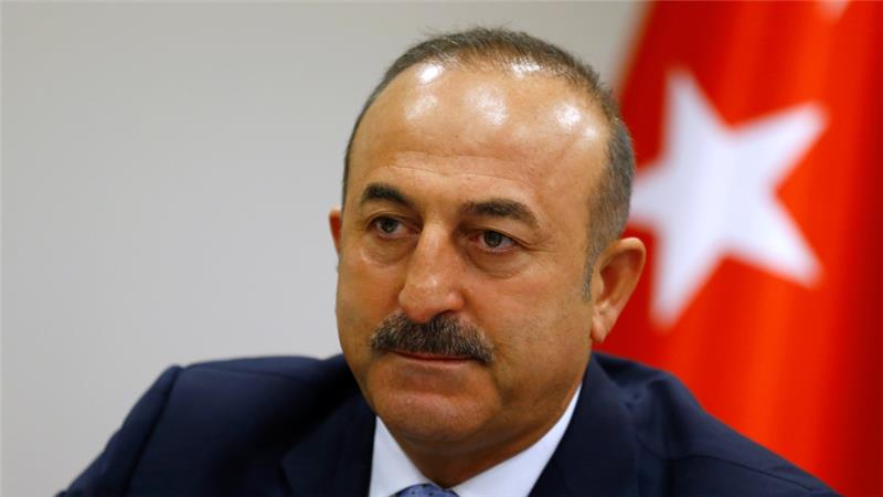 Turkey's Mevlut Cavusoglu said a'radical racist candidate lost Austria's election by a hair's breadth