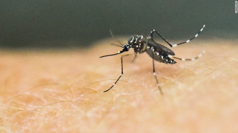 33 US military members have contracted Zika