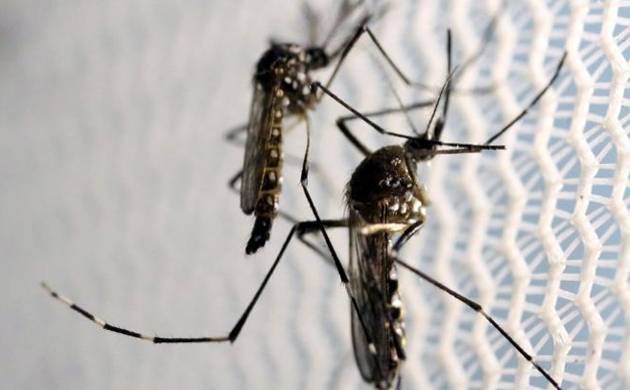 State Officials Determine Non-Travel Zika Cases in Miami-Dade, Broward Are Likely Result of Local Mosquitoes