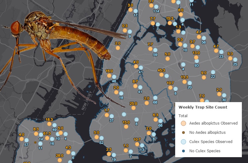 Protection against West Nile Virus in White Plains