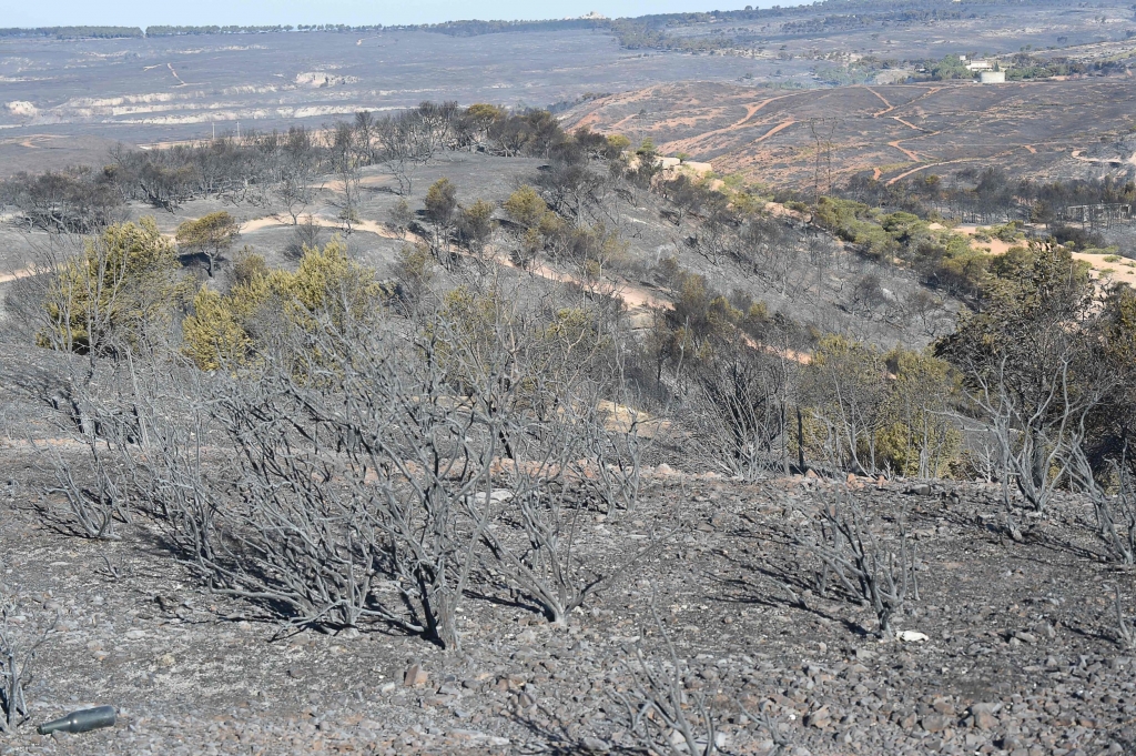 Vast swathes of land have been destroyed in the fires