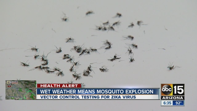 Vector Control is testing for Zika virus.                      KNXV