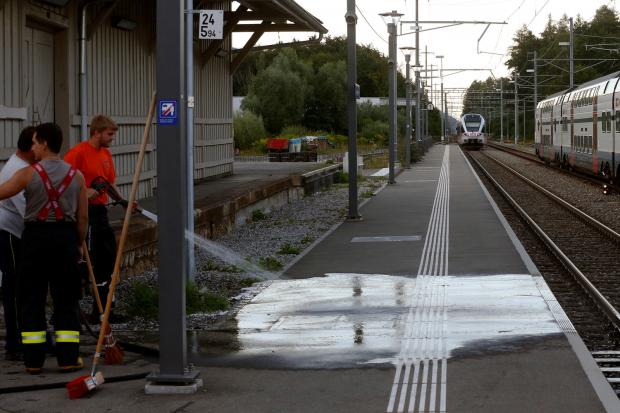 Swiss train attack: 27-year-old assailant dies of his wounds