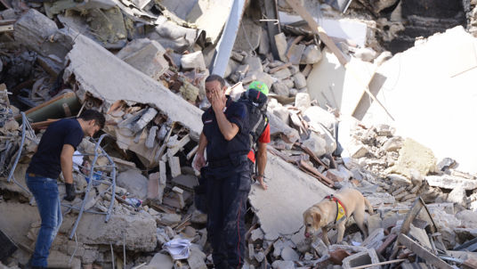 Rescuers and firemen inspect the rubble of buildings in Amatrice