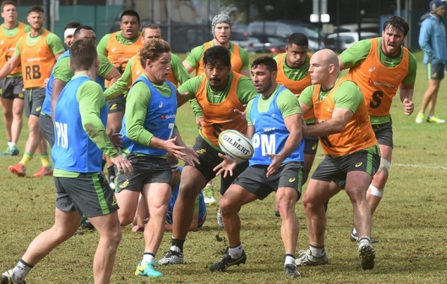 Australian rugby players attend a training session in Sydney ahead of the match against New Zealand for the Rugby Championship title