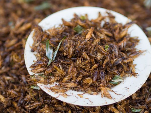 D Train Nightmare Screaming Woman Throws a Bunch of Bugs at Subway Passengers