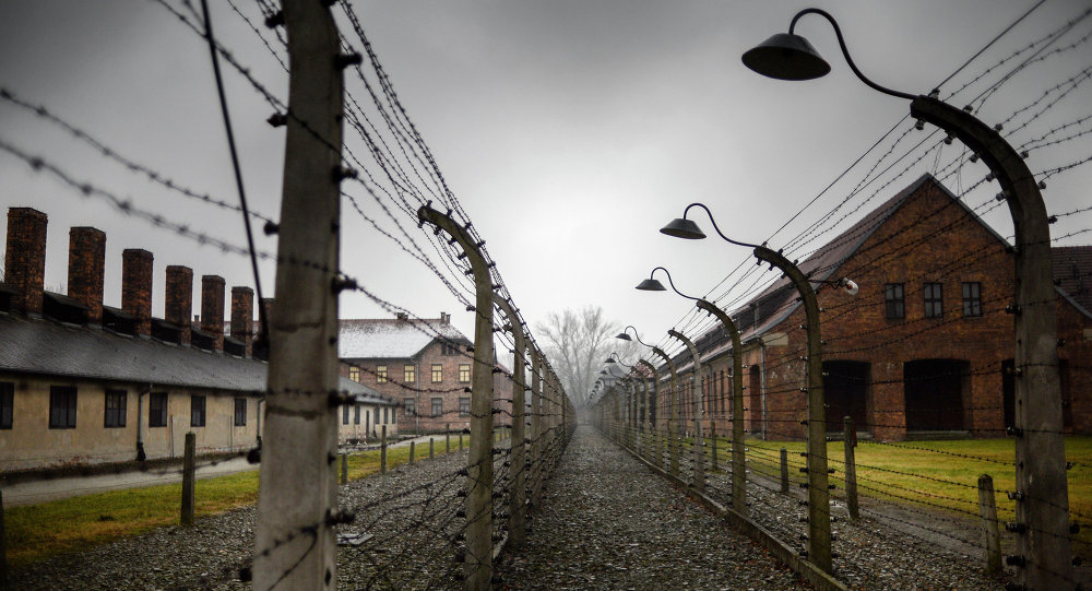 70th anniversary of Auschwitz liberation by Red Army