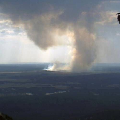 30 2016 shows a wildfire which began by lightning last Friday burns in central Yellowstone National Park in northwest Wyoming. It is one of five fires currently burning in Yellowstone