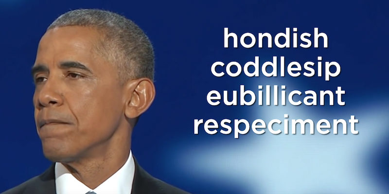 President Obama in the 'Bad Lip Reading&#039 video