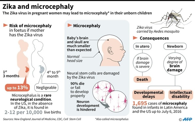 Zika and microcephaly