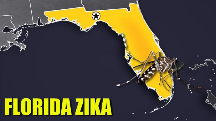 Caution urged in traveling to Florida areas where mosquito-borne Zika detected