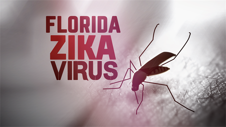 City manager: 2 Zika cases linked to Miami Beach