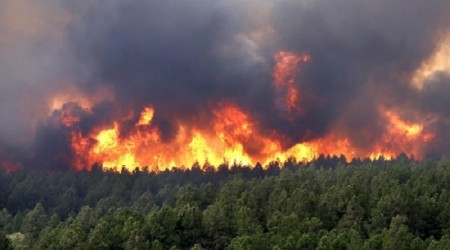 Forest fires strike southern Portugal after devastating north