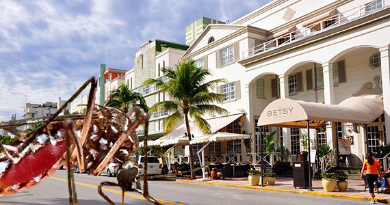 2009 shot of Ocean Drive and a mosquito